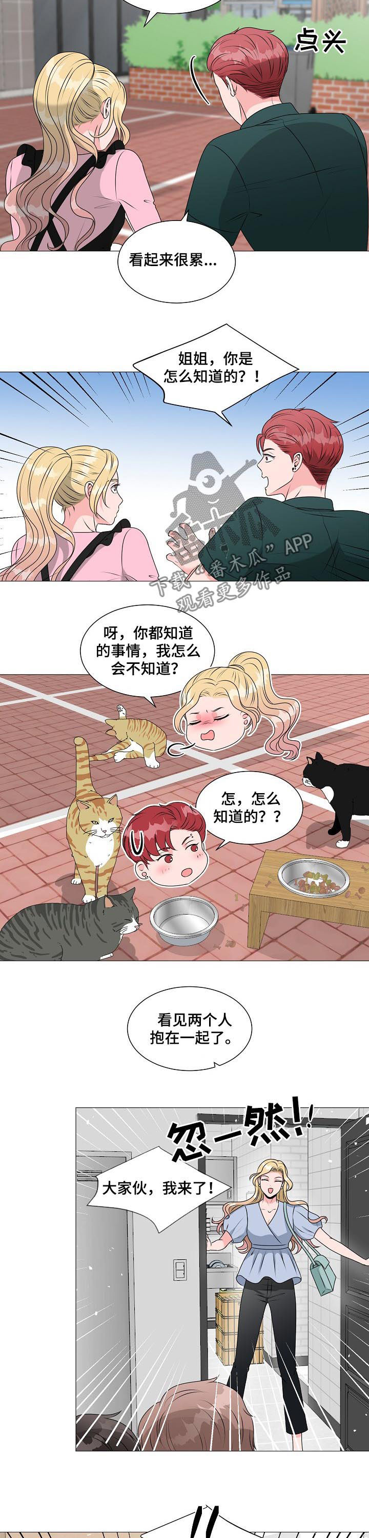 第36章：别想跑5