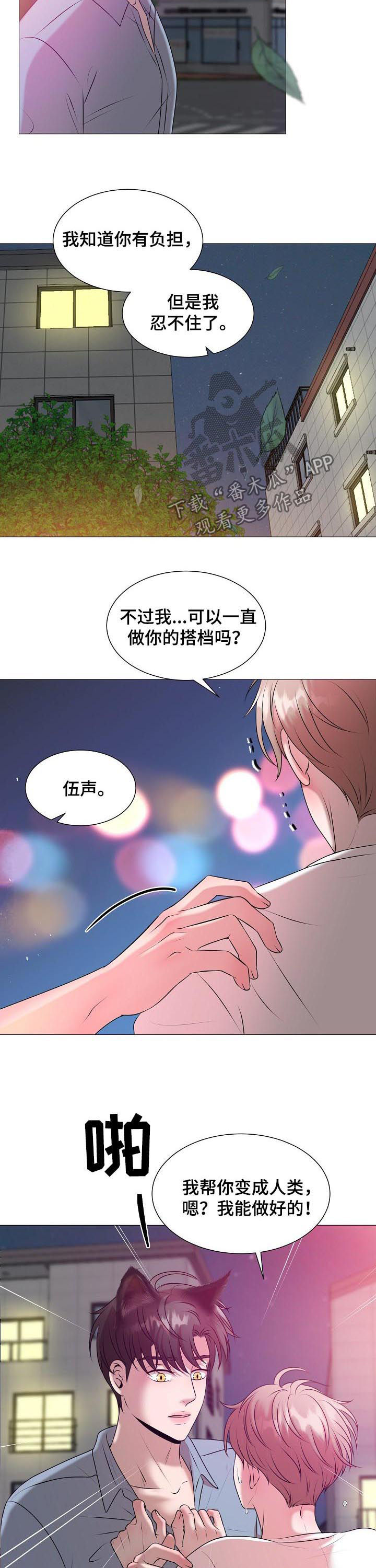 第41章：爱情3