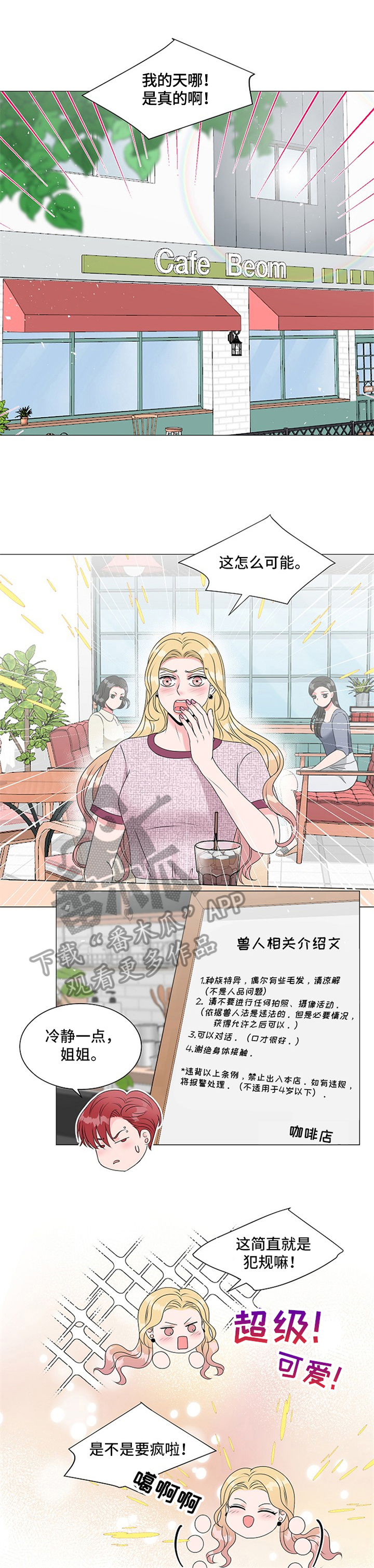 第6章：问题关键5