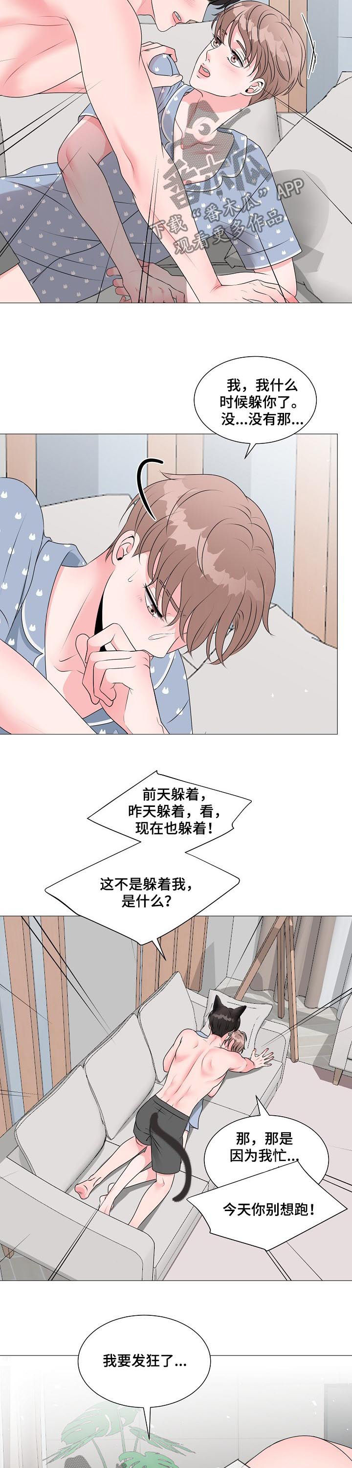 第36章：别想跑11