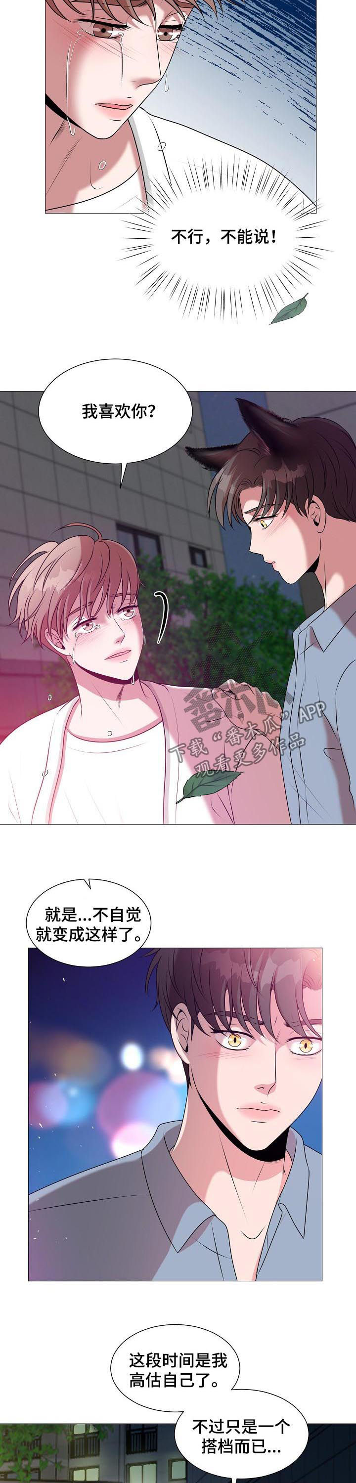第41章：爱情1