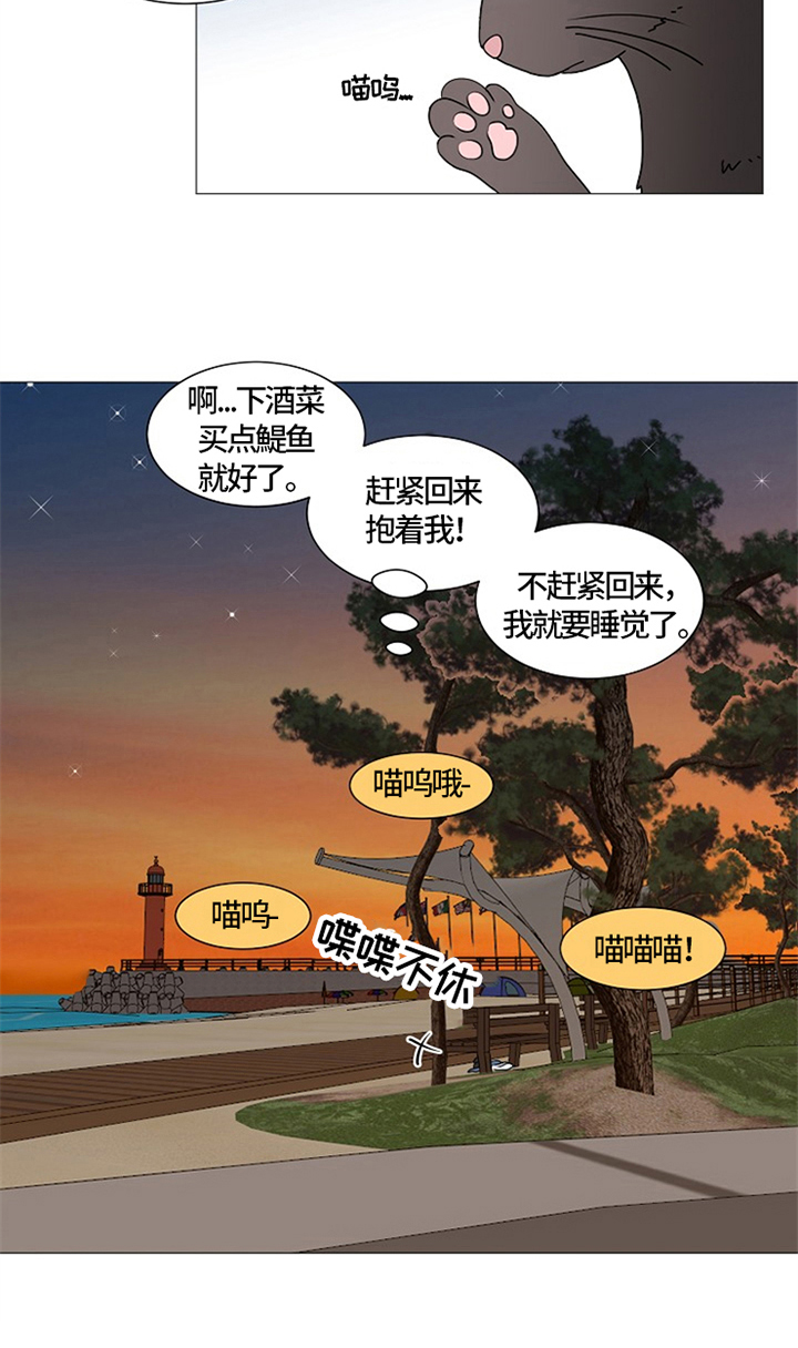 第26章：猫咪丢失6