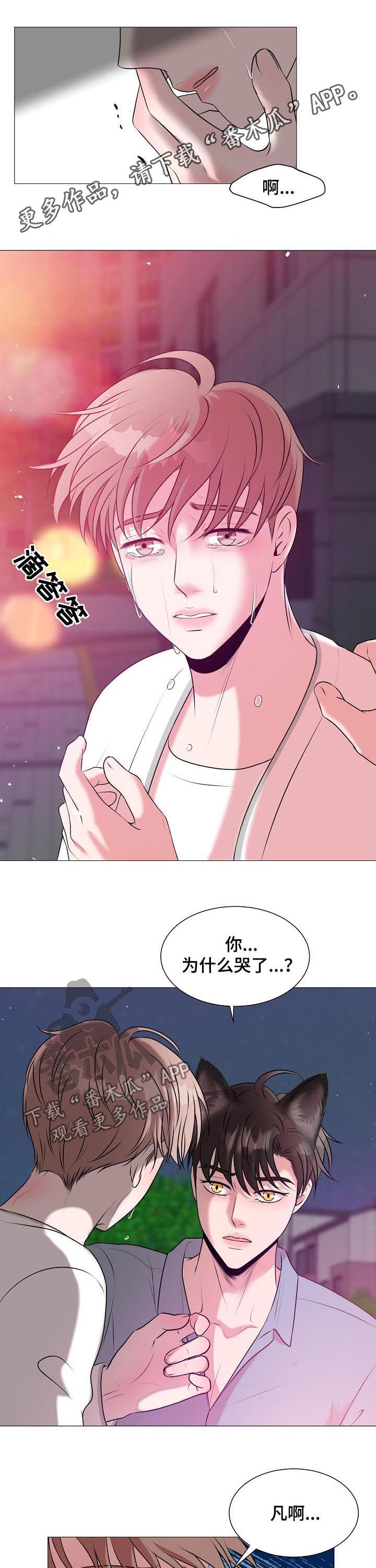 第41章：爱情0