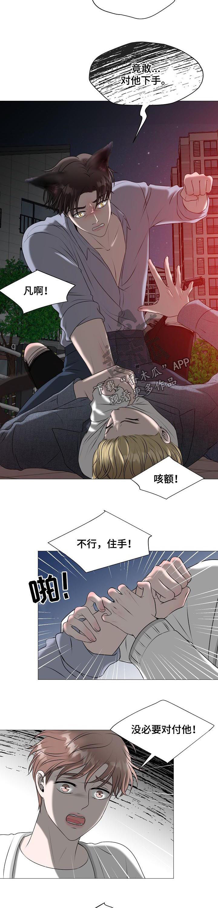 第40章：什么意思3