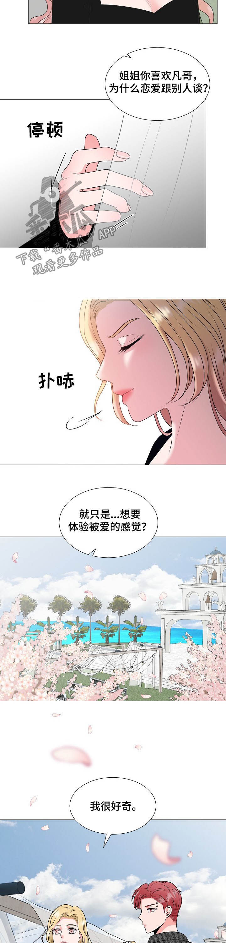 第44章：婚礼13