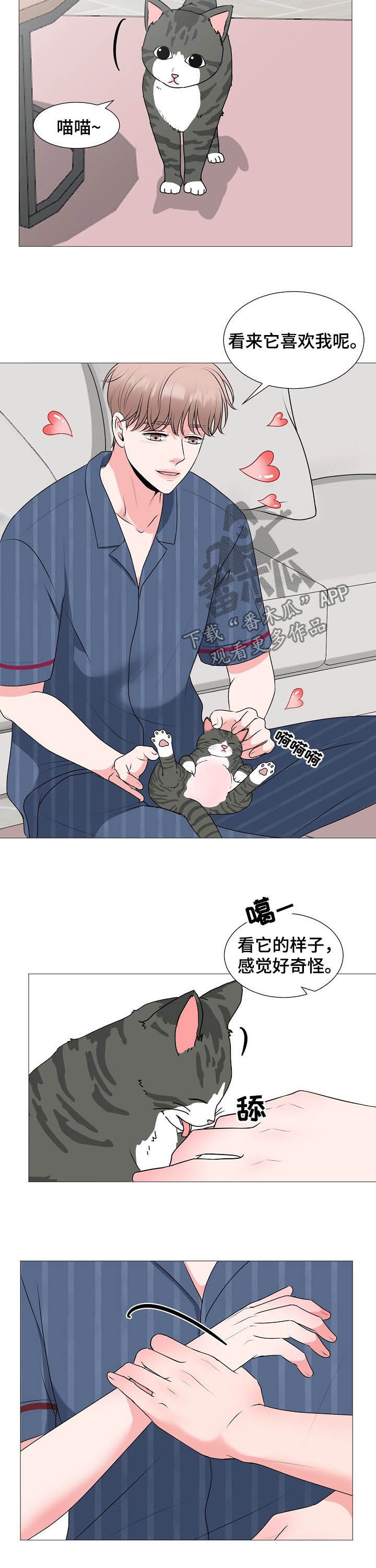 第44章：婚礼4
