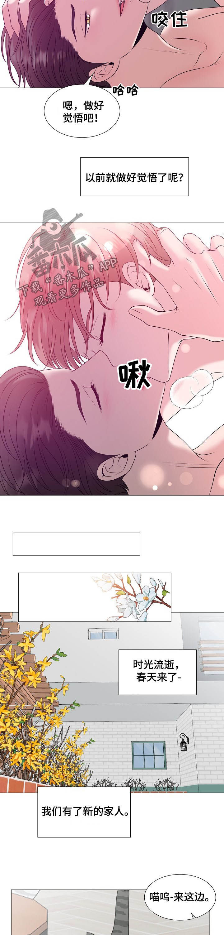 第44章：婚礼3