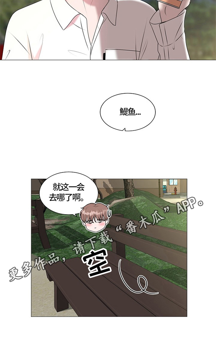 第26章：猫咪丢失9