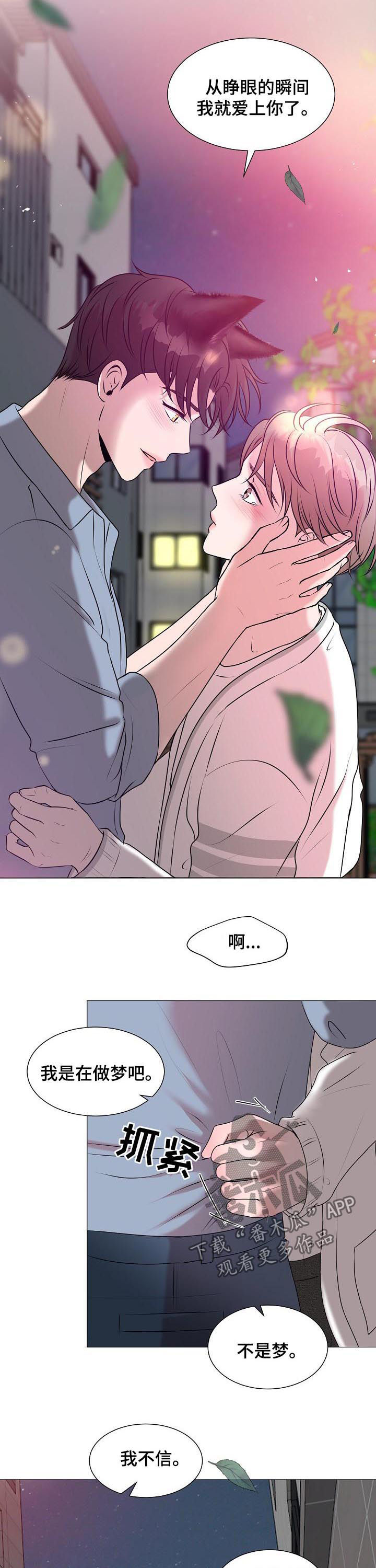 第41章：爱情8