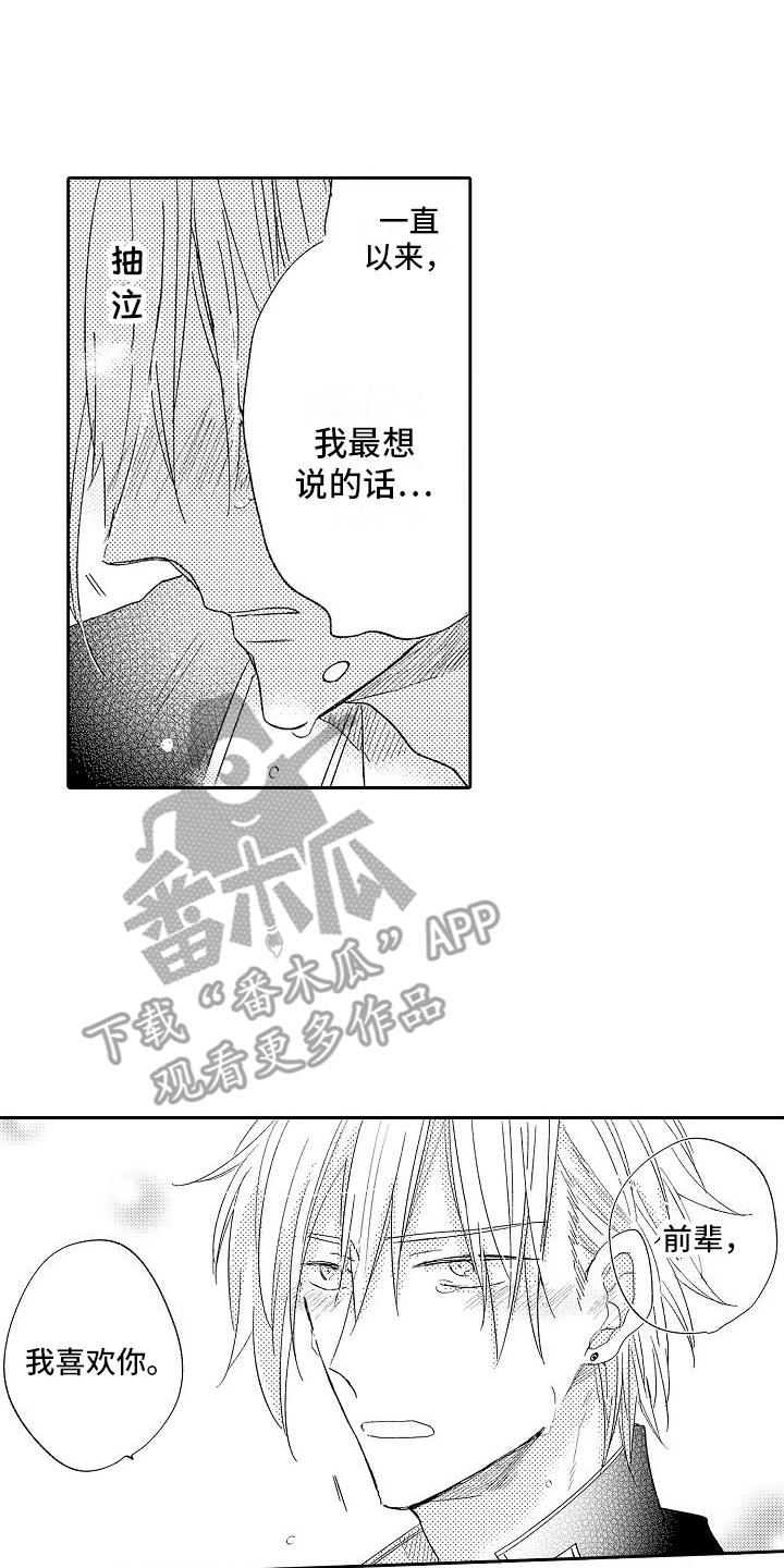 第17章：想说的话12