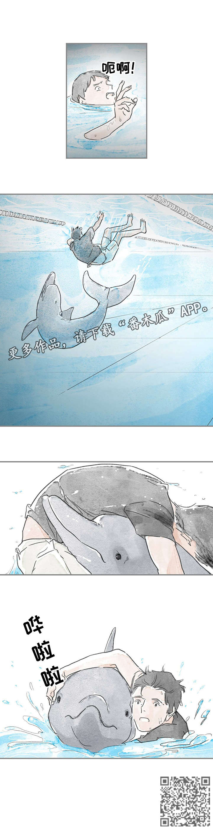 第15章：海豚6