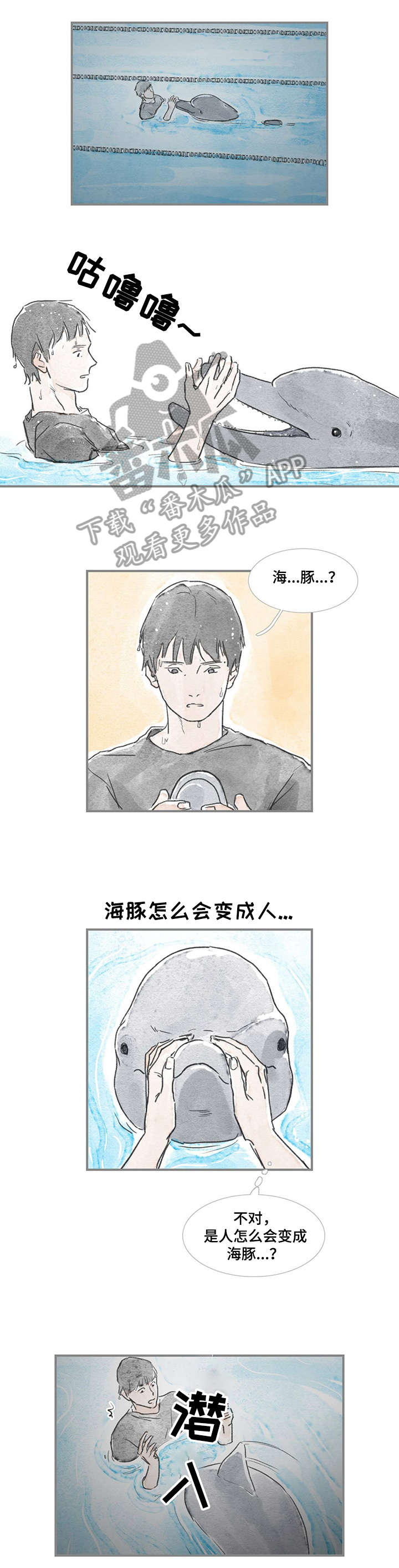 第15章：海豚5