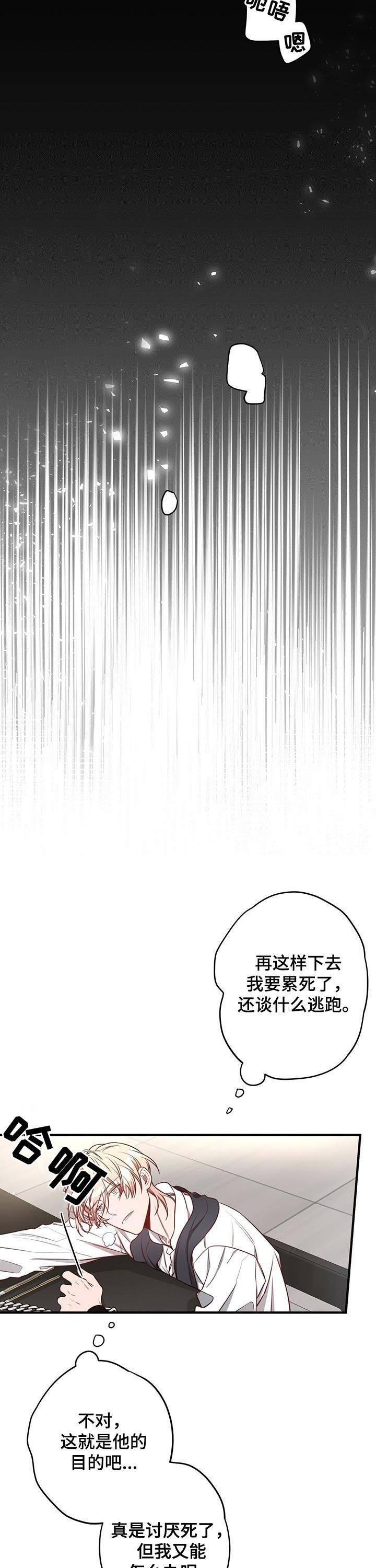 第43章：喂你5