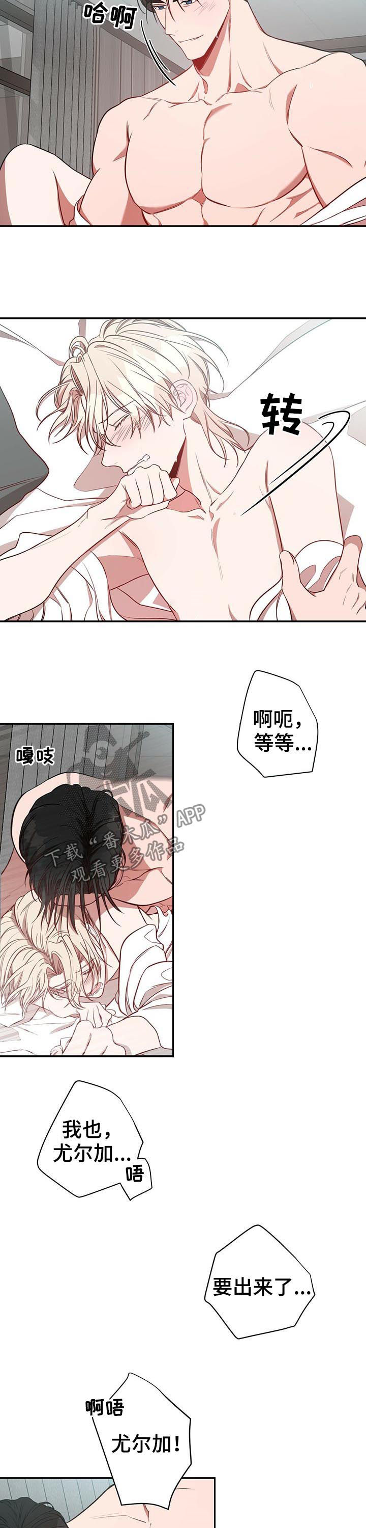 第23章：特别6