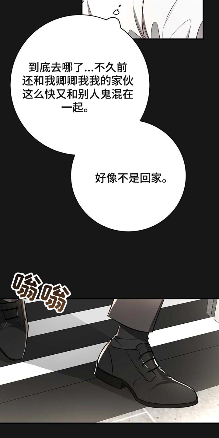 第120章：【番外】期望7
