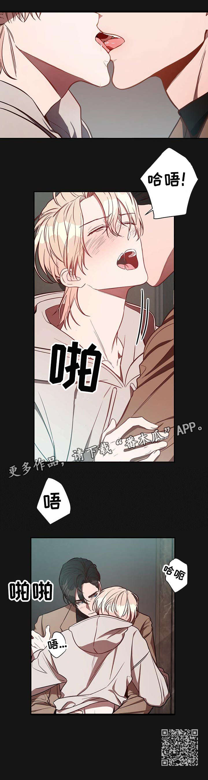第14章：初识5