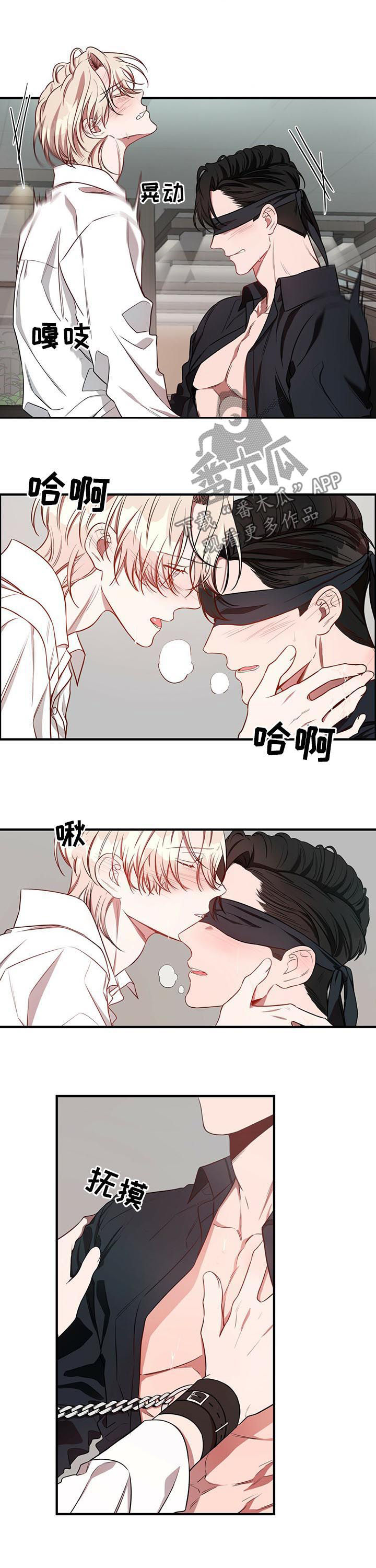 第41章：不够5