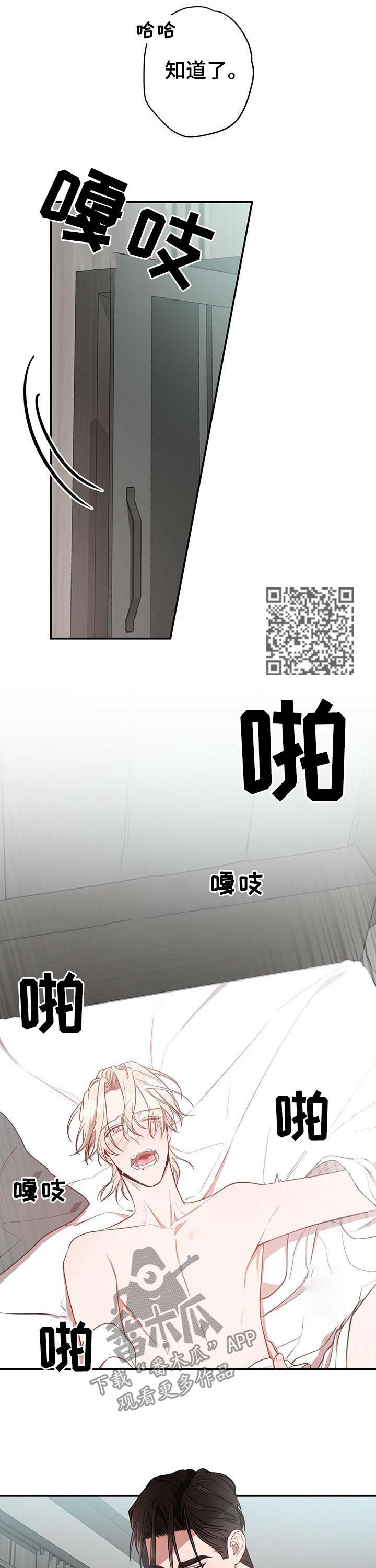 第23章：特别5