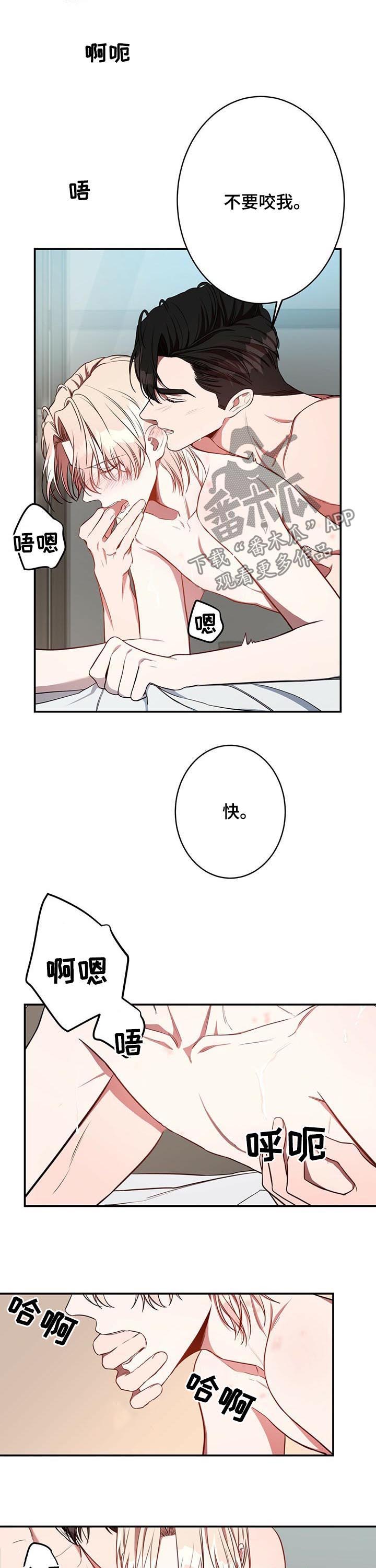 第30章：最后几天7