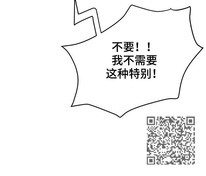 第23章：特别11