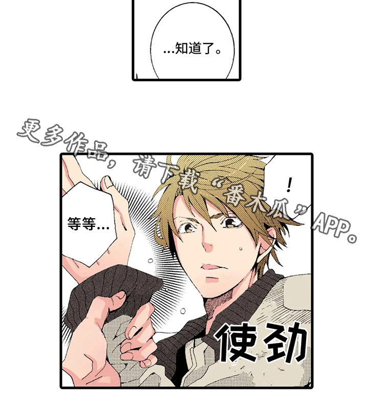 第15章：解释6