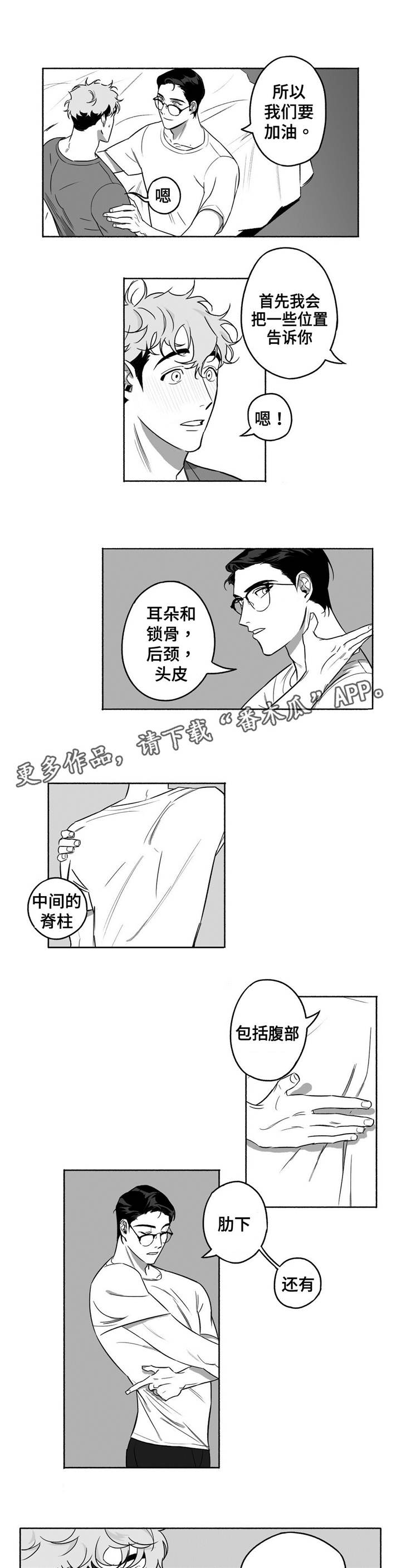 第11章：身体构成5