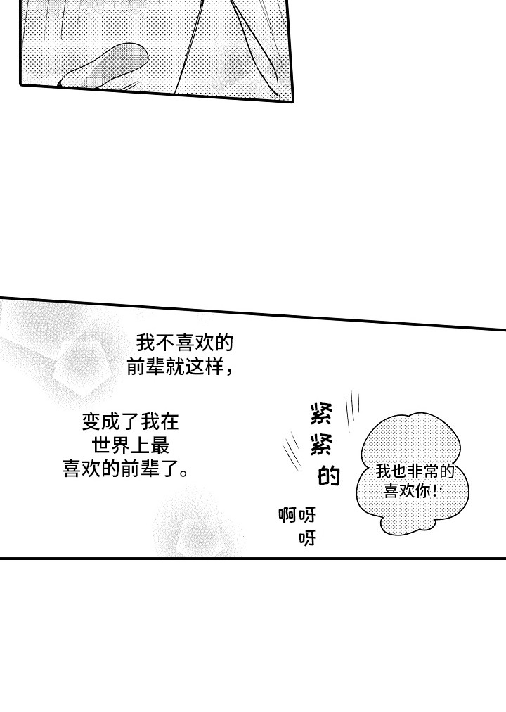 第27章：非常喜欢（完结）  17