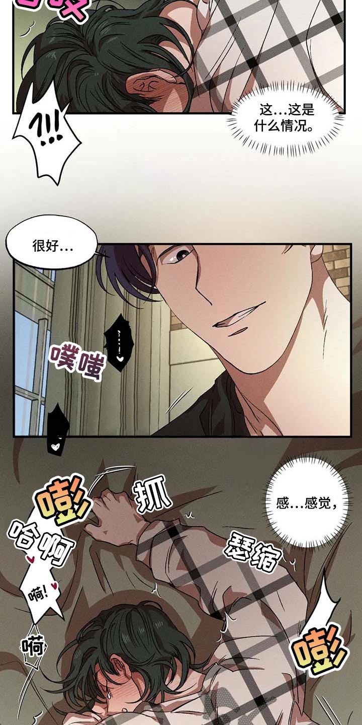 第63章：理想型6