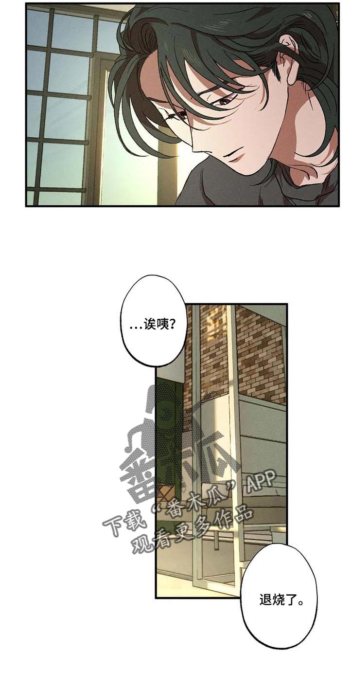 第64章：退烧了5