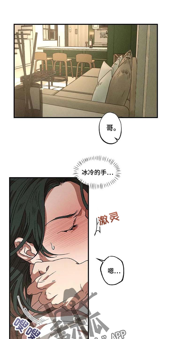 第63章：理想型0