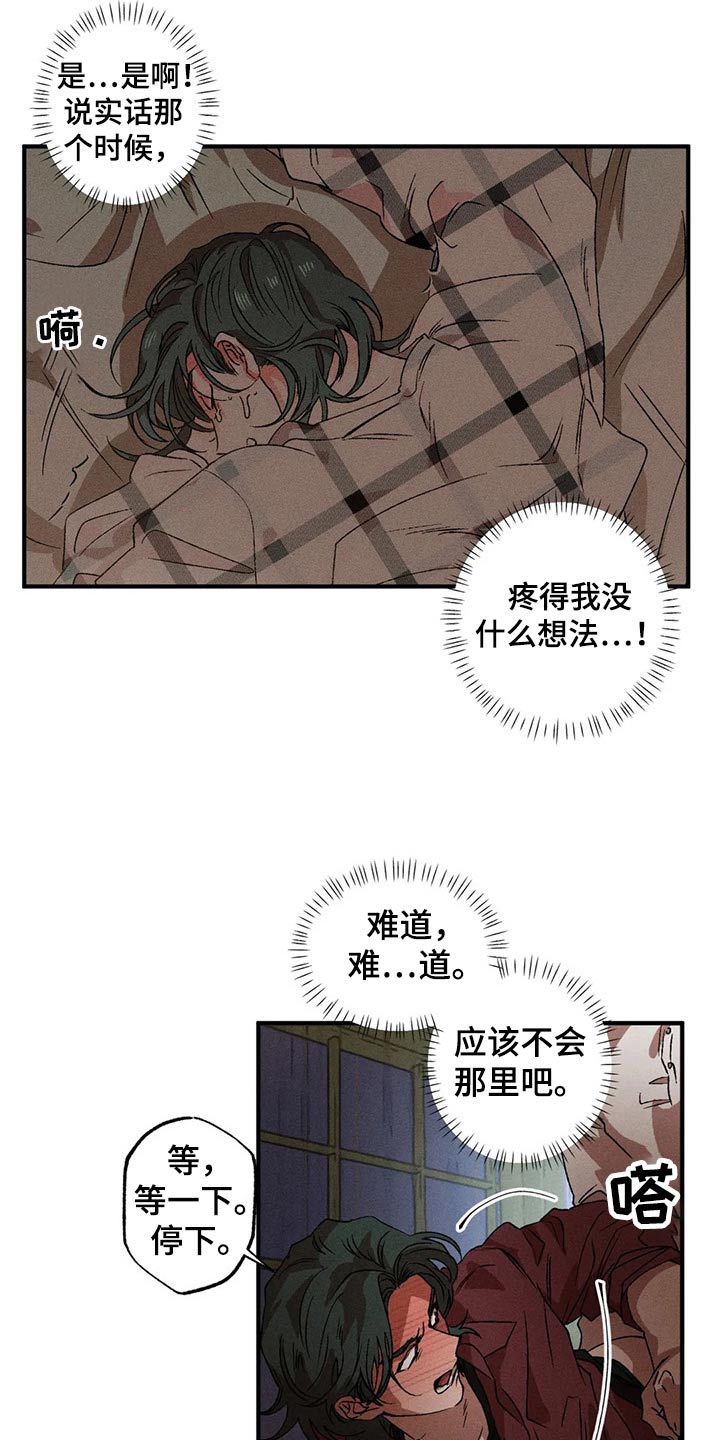 第99章：理想型15