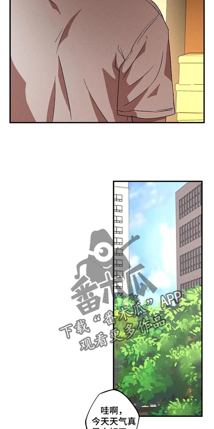 第71章：融化14