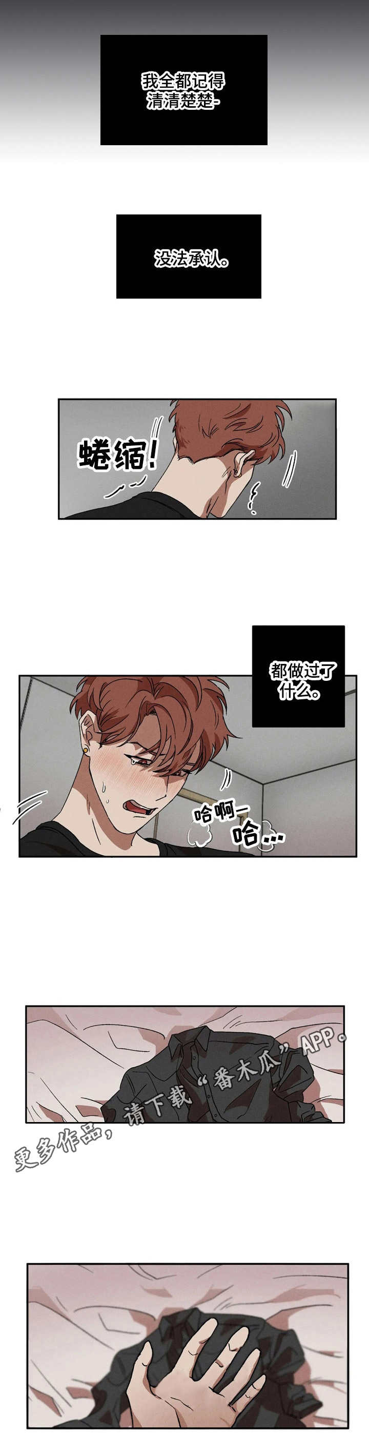 第6章：咨询5