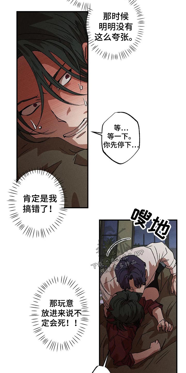 第99章：理想型19