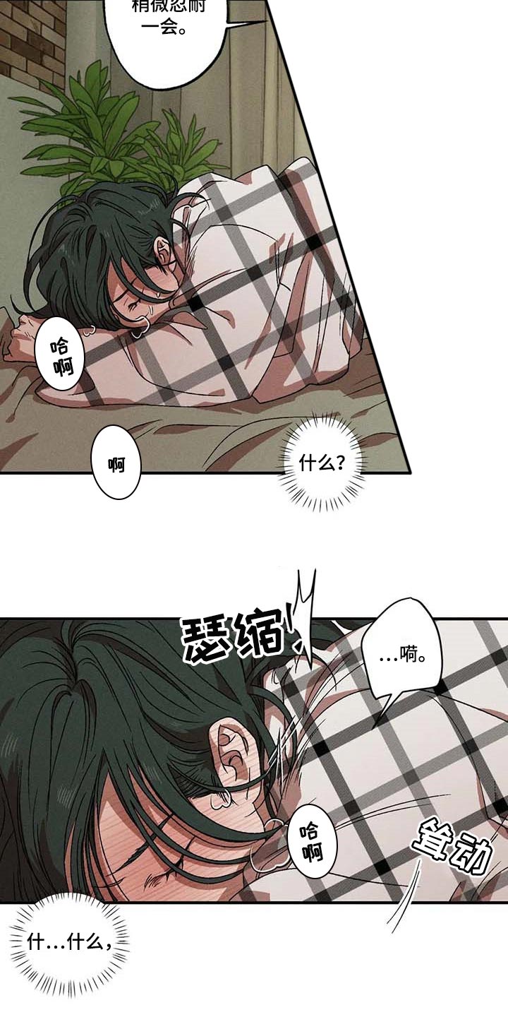 第63章：理想型4