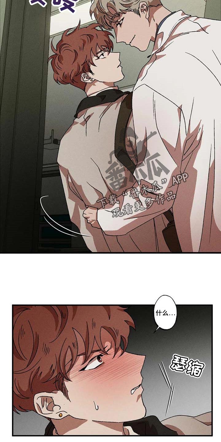 第53章：计划6