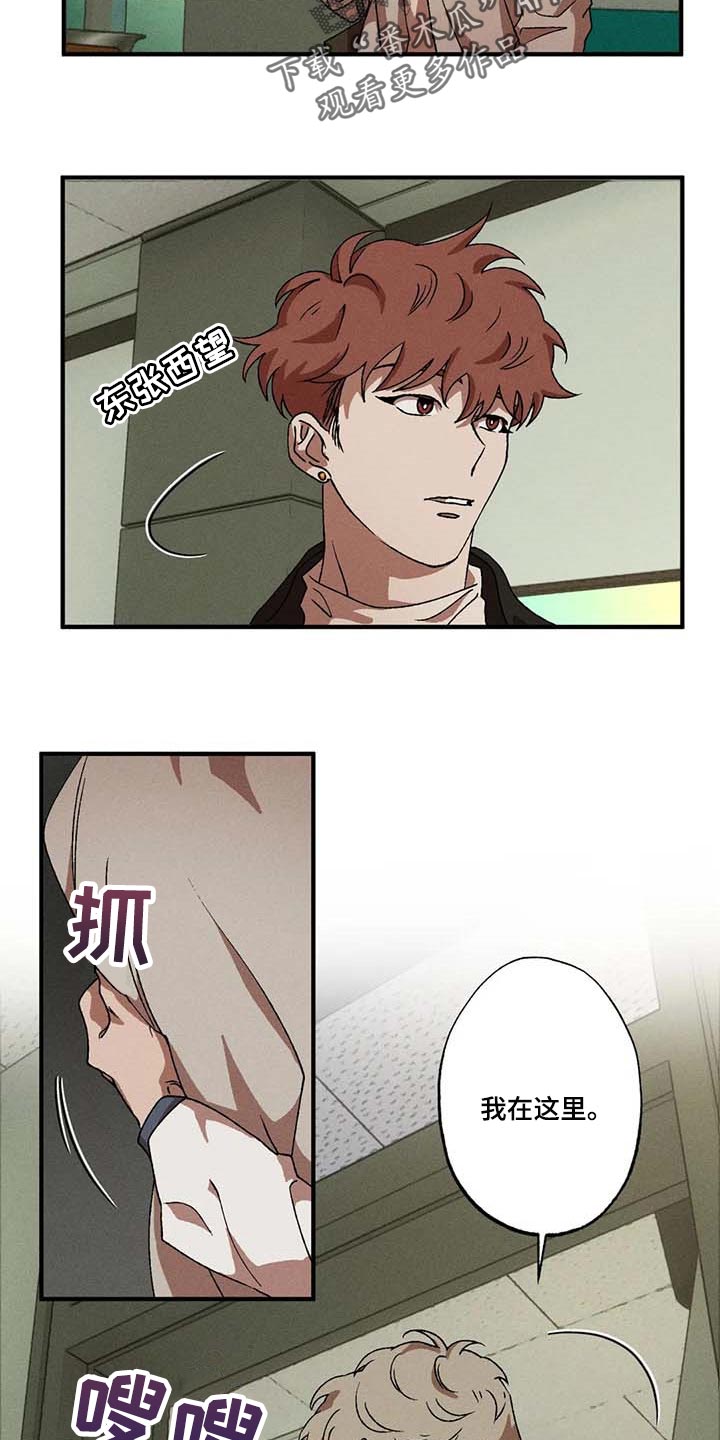 第53章：计划5