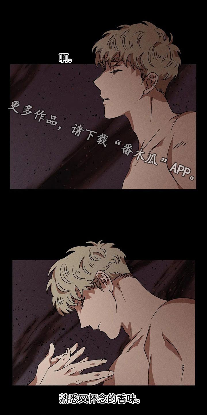 第90章：发生了什么0