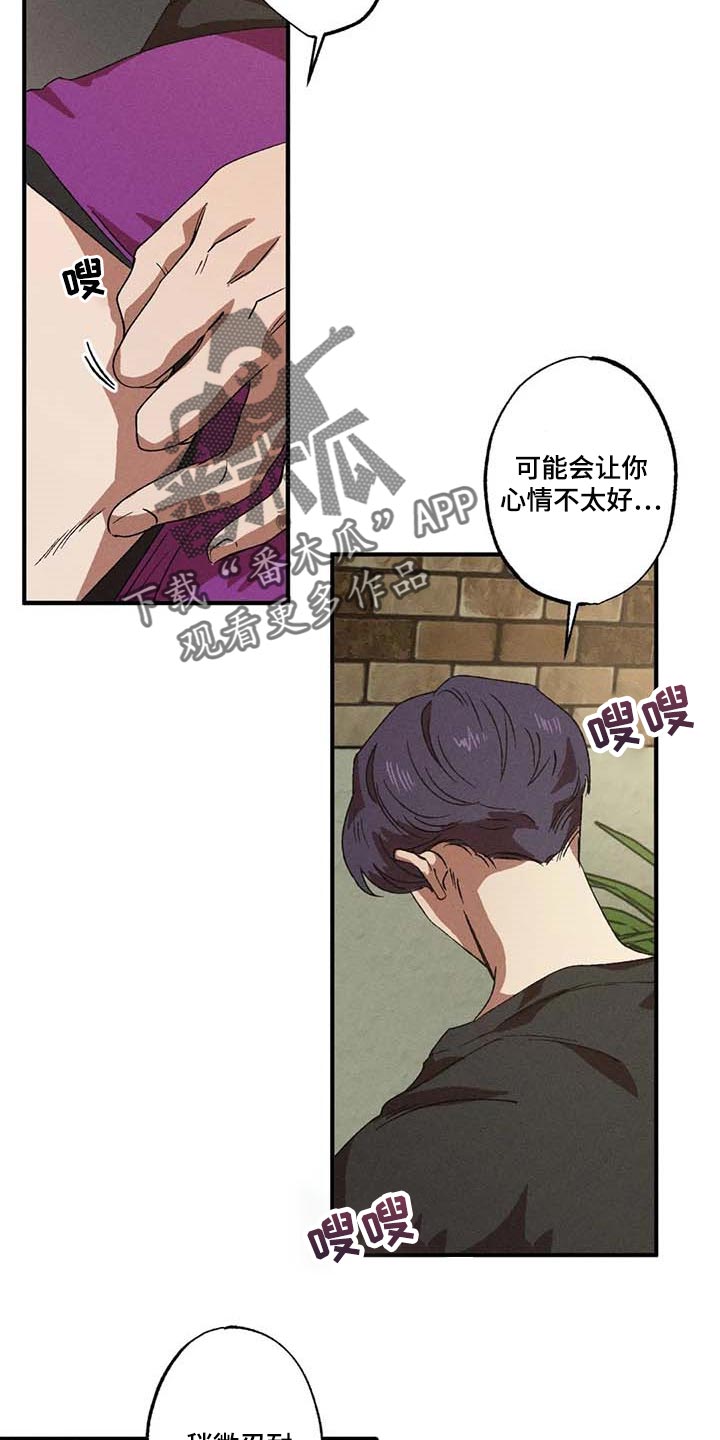 第63章：理想型3