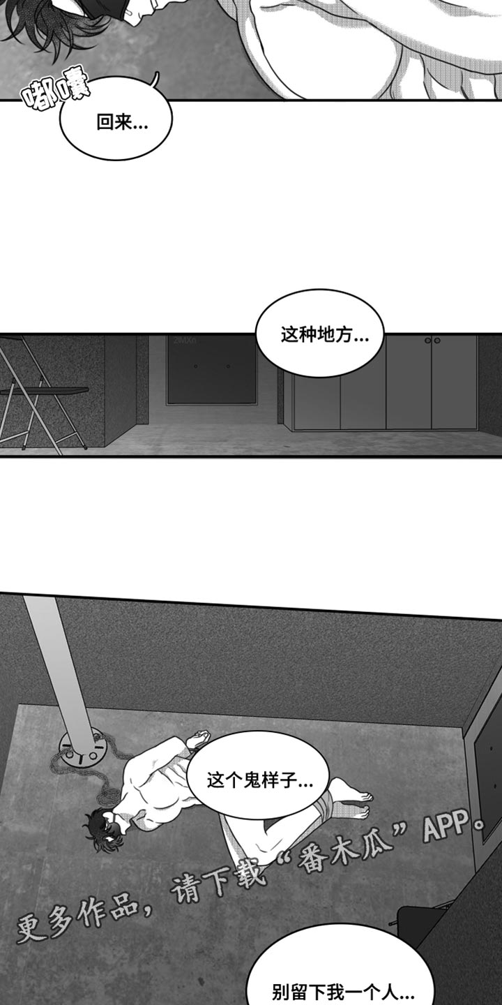 第24章：他到底恨我什么15