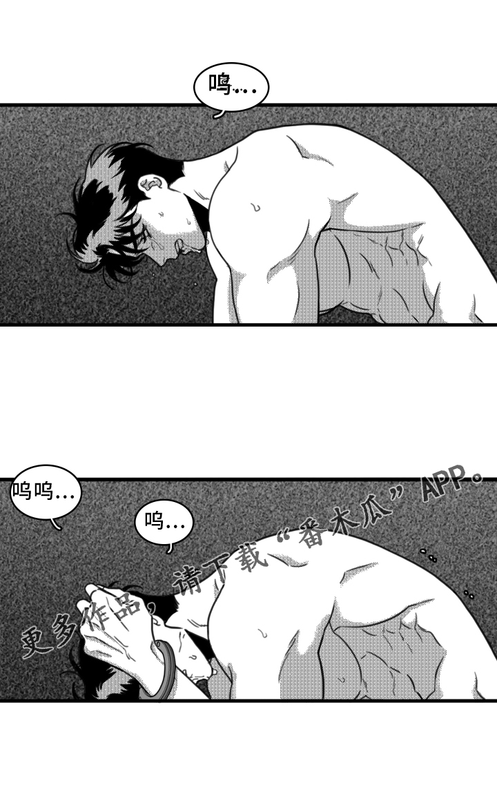 第19章：挣扎21
