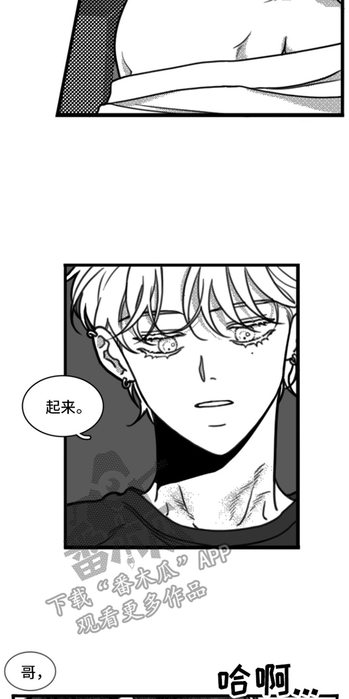 第16章：身不由己12
