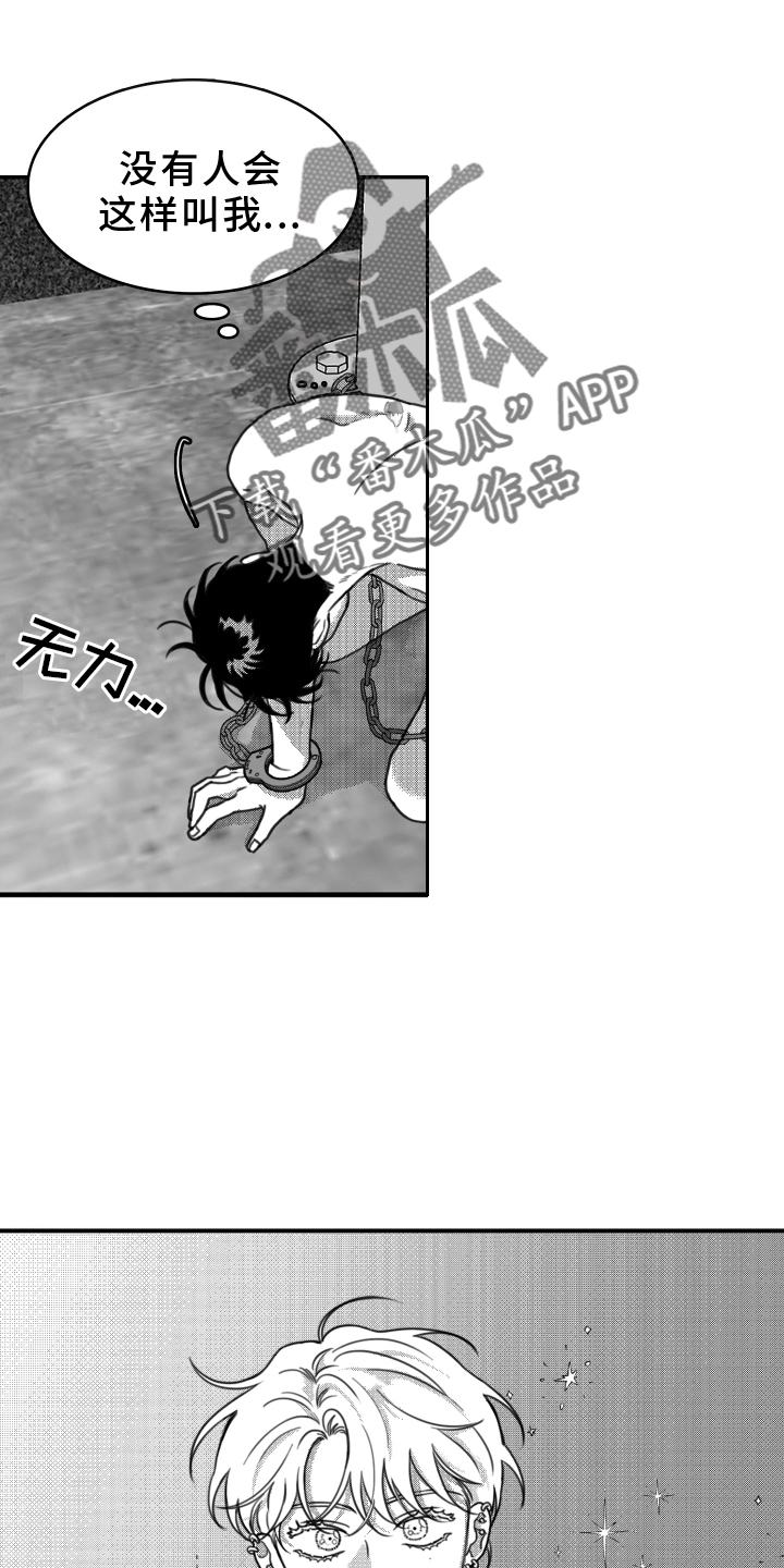 第20章：思索3