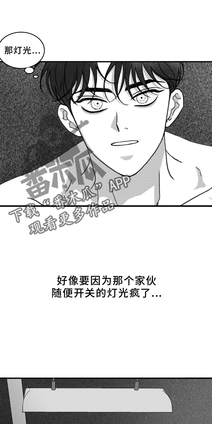 第19章：挣扎17