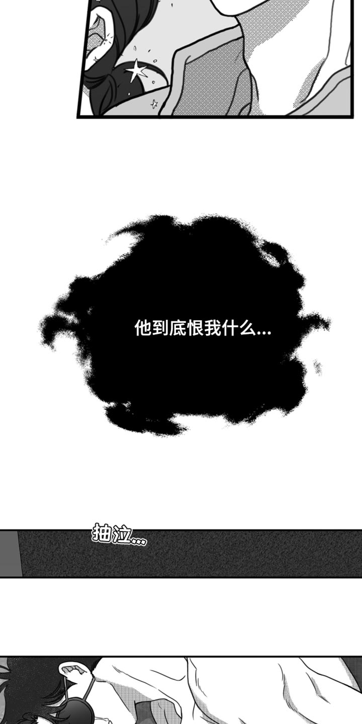 第24章：他到底恨我什么14