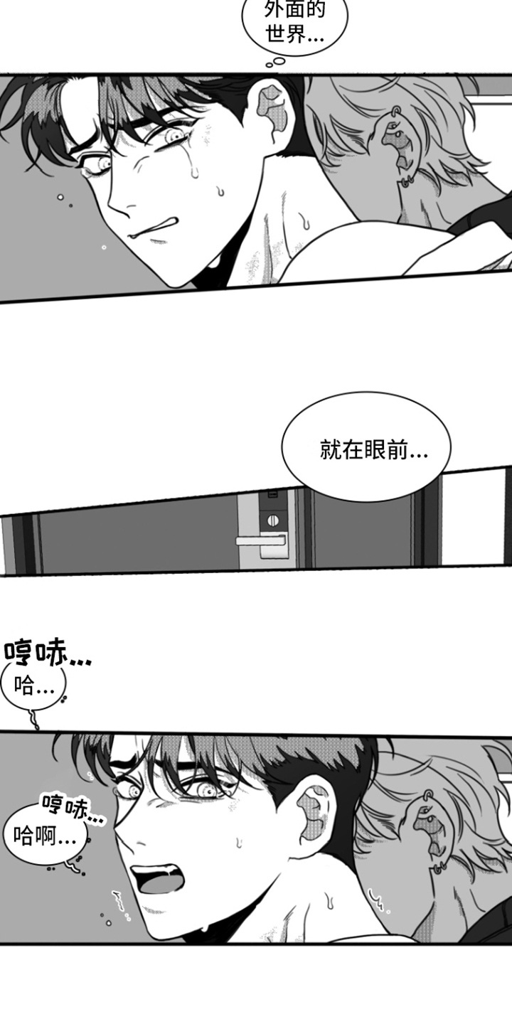 第16章：身不由己4