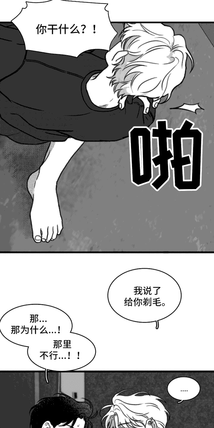 第18章：剃毛6