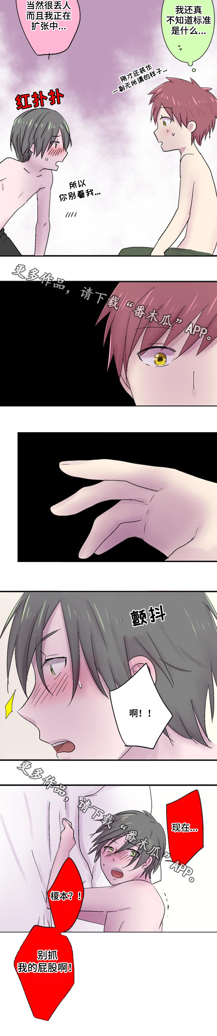 第36章：标准5