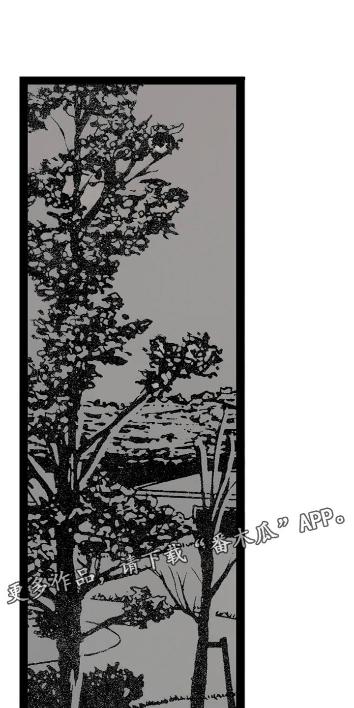 第15章：喜欢0