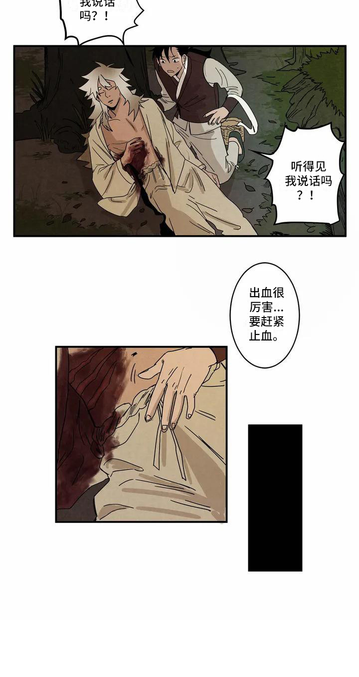 第1章：老虎11